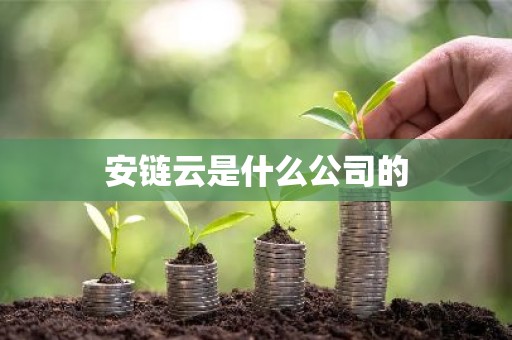 安链云是什么公司的