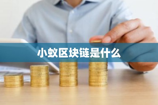 小蚁区块链是什么