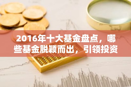 2016年十大基金盘点，哪些基金脱颖而出，引领投资风向？
