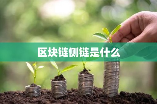 区块链侧链是什么