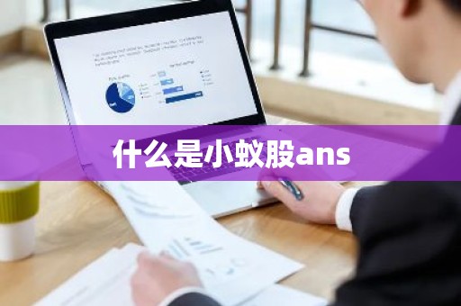 什么是小蚁股ans