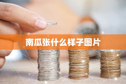 南瓜张什么样子图片