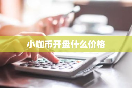 小咖币开盘什么价格