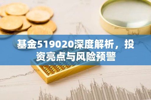 基金519020深度解析，投资亮点与风险预警