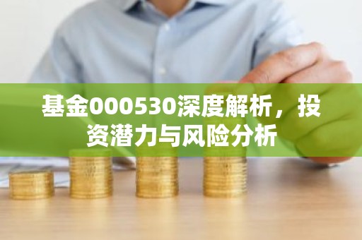 基金000530深度解析，投资潜力与风险分析