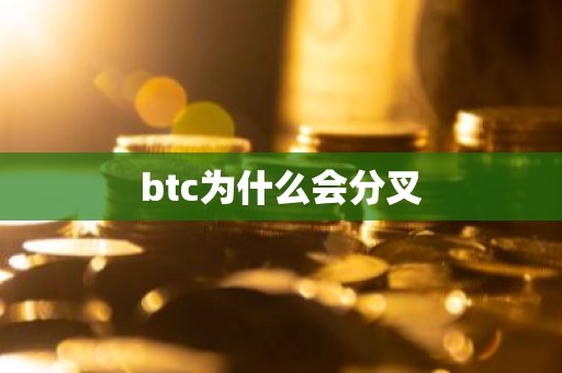 btc为什么会分叉