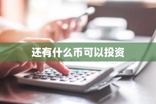 还有什么币可以投资