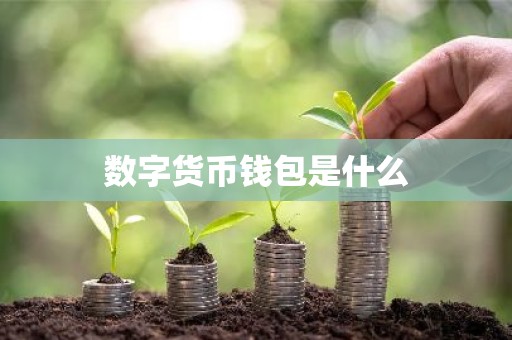 数字货币钱包是什么
