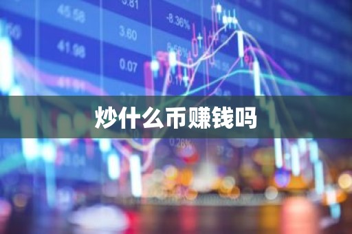 炒什么币赚钱吗