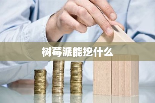 树莓派能挖什么