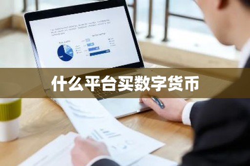 什么平台买数字货币