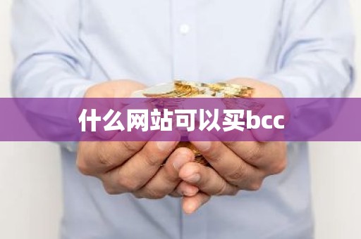 什么网站可以买bcc