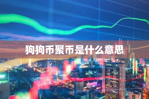 狗狗币聚币是什么意思