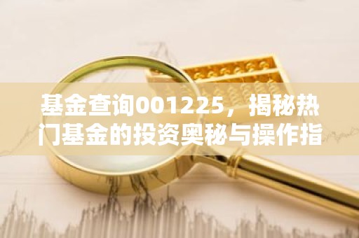 基金查询001225，揭秘热门基金的投资奥秘与操作指南