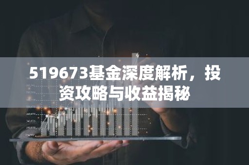 519673基金深度解析，投资攻略与收益揭秘