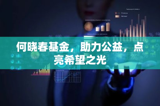 何晓春基金，助力公益，点亮希望之光