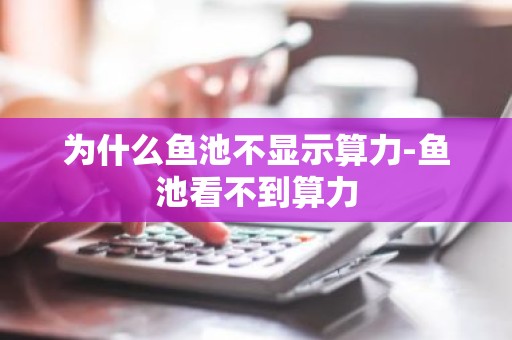 为什么鱼池不显示算力-鱼池看不到算力