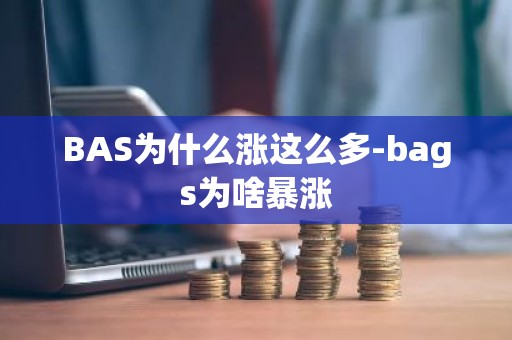 BAS为什么涨这么多-bags为啥暴涨
