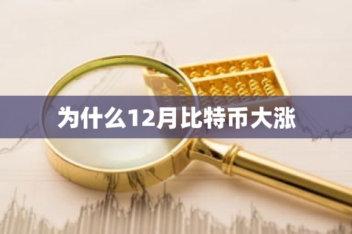 为什么12月比特币大涨