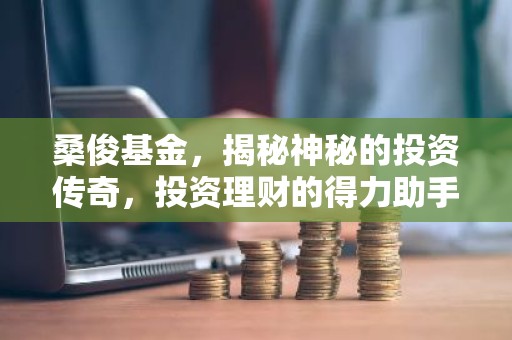 桑俊基金，揭秘神秘的投资传奇，投资理财的得力助手？