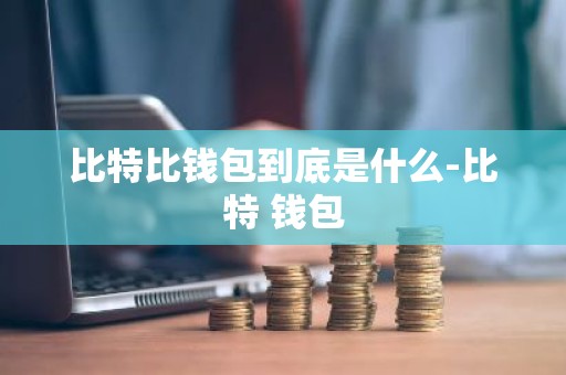 比特比钱包到底是什么-比特 钱包