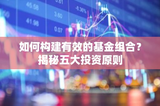 如何构建有效的基金组合？揭秘五大投资原则