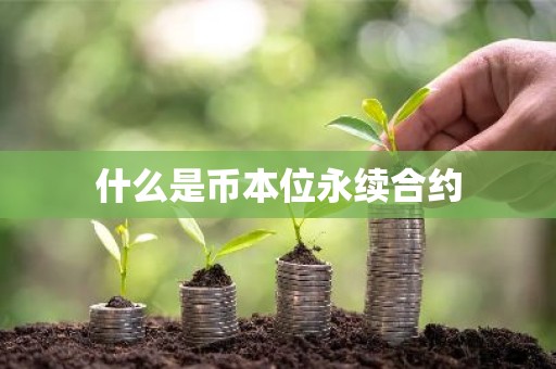 什么是币本位永续合约