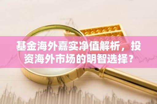 基金海外嘉实净值解析，投资海外市场的明智选择？