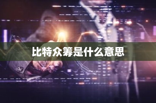 比特众筹是什么意思