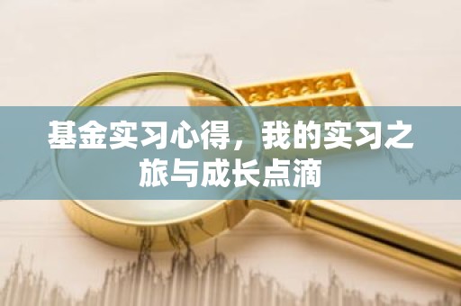 基金实习心得，我的实习之旅与成长点滴