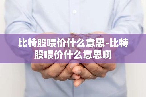 比特股喂价什么意思-比特股喂价什么意思啊
