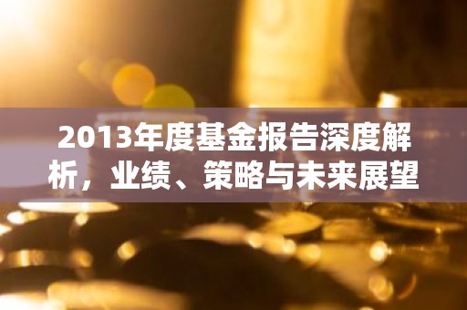 2013年度基金报告深度解析，业绩、策略与未来展望
