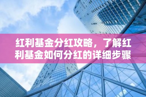 红利基金分红攻略，了解红利基金如何分红的详细步骤