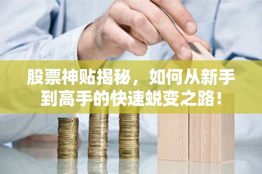 股票神贴揭秘，如何从新手到高手的快速蜕变之路！