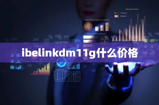 ibelinkdm11g什么价格