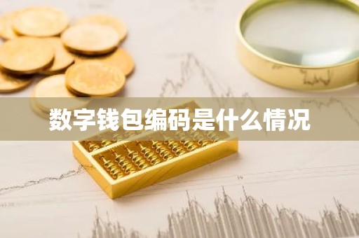数字钱包编码是什么情况