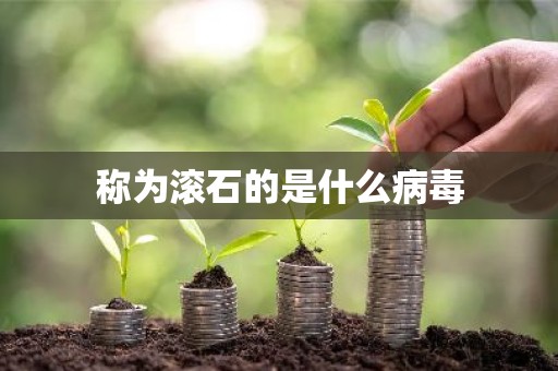 称为滚石的是什么病毒