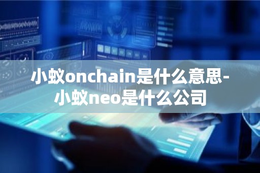 小蚁onchain是什么意思-小蚁neo是什么公司