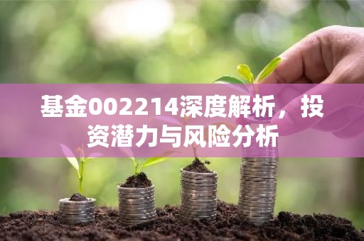 基金002214深度解析，投资潜力与风险分析