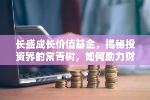 长盛成长价值基金，揭秘投资界的常青树，如何助力财富稳健增长？