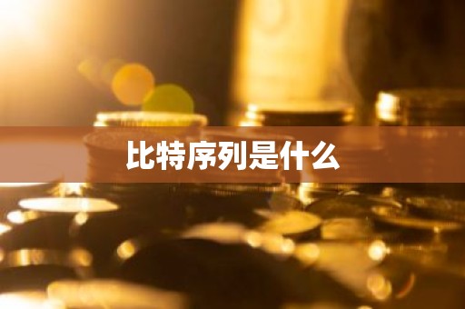 比特序列是什么
