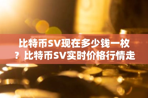 比特币SV现在多少钱一枚？比特币SV实时价格行情走势图