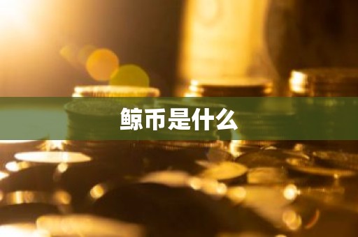 鲸币是什么
