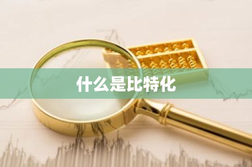 什么是比特化