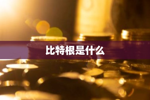 比特根是什么