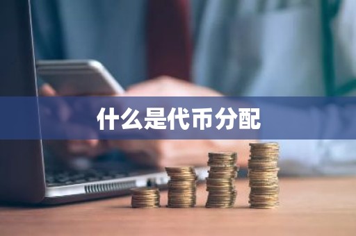 什么是代币分配
