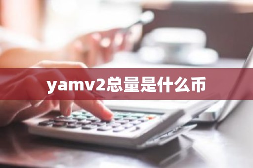 yamv2总量是什么币