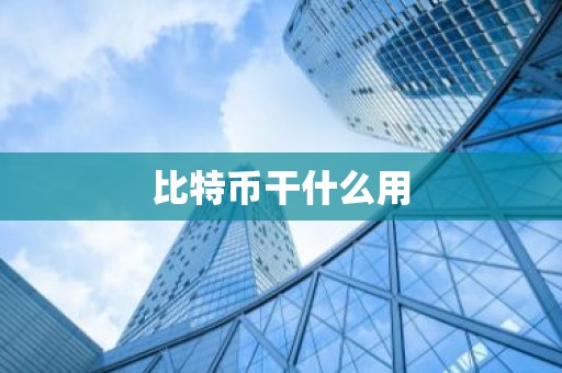 比特币干什么用