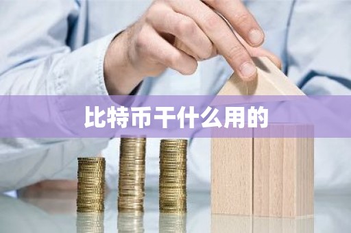 比特币干什么用的