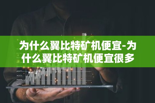 为什么翼比特矿机便宜-为什么翼比特矿机便宜很多